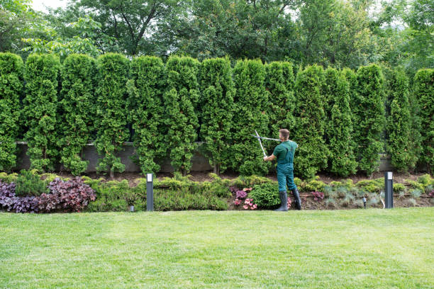 Landscape Design and Installation in Lincolnton, NC